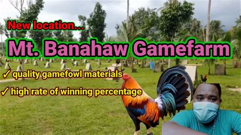 mt banahaw gamefarm|Mt. Banahaw GameFarm (New location) .